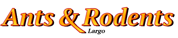Largo Ant Exterminator & Rodent Control Company Logo